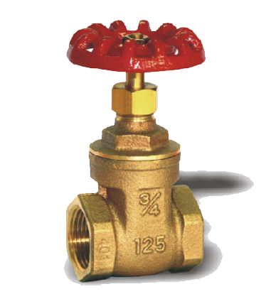 Bronze gate valve